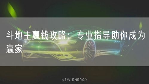 斗地主赢钱攻略:专业指导助你成为赢家