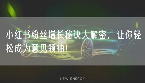 小红书粉丝增长秘诀大解密，让你轻松成为意见领袖！