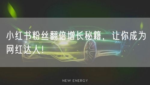 小红书粉丝翻倍增长秘籍，让你成为网红达人！