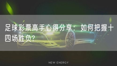 足球彩票高手心得分享:如何把握十四场胜负?